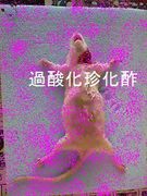 ݡ