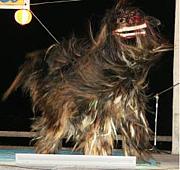 �����̱��