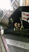 ���ԡ���?���������
