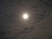 ＡＬＰ＆風の被害を語る