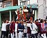 魚沼市『神輿』担ごうよ！！
