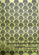 Auerbach Chamber Orchestra