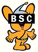BSC for life
