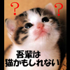 吾輩は猫かもしれない