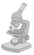 顕微鏡関連勉強会