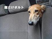͹ưʪ繥ޤ