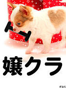 ��齸�硪��
