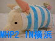MHP2リアル集会所　IN横浜
