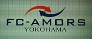 FC-AMORS