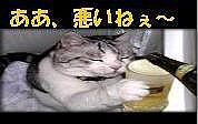 إѥǥե