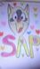 (����`) sap(����`)