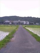 宇佐市立長峰小学校