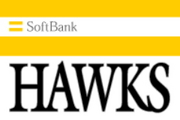 BACK��UP��HAWKS