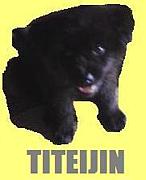 TITEIJIN
