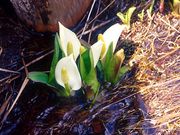 在宅介護について話しませんか