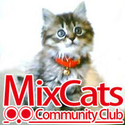 MixCatsCommunity Club