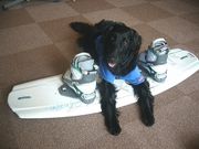 ������������򴹡������ǡ�