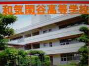 ������Ω�µ���ë�����ع�