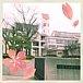 長野県短期大学