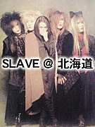 SLAVE���̳�ƻ