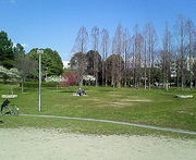 東公園♪