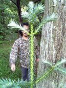 ��äѤ�ϥ��ߥġ���