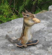 ★和歌山的スケーター★