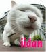 �ǣ���ǯ�������ĥ���