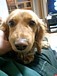 ���ޤ�ȶ���ץ���������