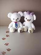 �ۥ��åס��ѥե���