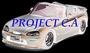 PROJECT C．A