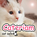 猫カフェ Cateriam