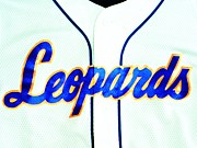 �����إ쥪�ѡ���