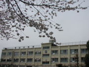 中野区立新山小学校