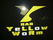 yellow　worm