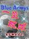 Blue Armys