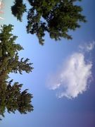 �ʤ�Ǥ⤢��ä��硪��