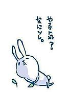 ���鷺���Τ줿���𿩷ϡ�