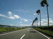 国道220号線