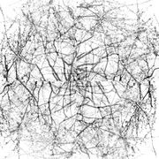 form branch