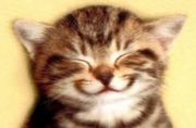 �ɤ������ФäƤ��ޤ���