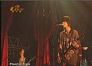 37��/Plastic Tree