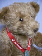Primera��Teddybear��Academy