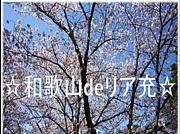 ���²λ�de�ꥢ����