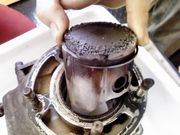 �Х�����������