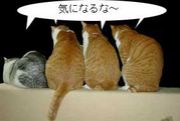 �桹��ǯ��δؿ���