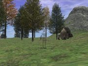 FFXI���Ҹˤ�������