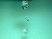 �����Ƥ���