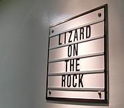 LIZARD ON THE ROCK