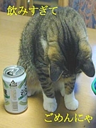 �ݤ߲񤬤��뤫���ĥ����